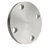 10 Blind Plate Flange 150# 304