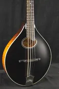 Collings MT O Satin Finish Oval Hole A-Style Mandolin