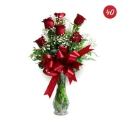 6 Roses