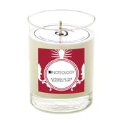 Autumn in the Electric City Candle