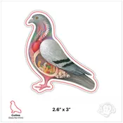 Pigeon - Demian Anderson 2.6x3"