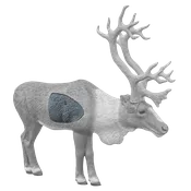 1/3 Scale Woodland Caribou Insert