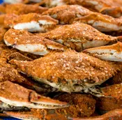 2020 Preseason Crabfeast (TO BE RESCHEDULED)