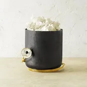 Anemone Bath Collection