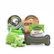 Dog Treats Basket with Toys
