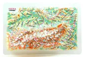 Austria Raised Relief Map, Souvenir size