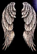 Angel Wings Hoodie 295