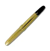 Acme Studio Gold Dip