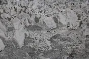 Alpine White 3cm Polished