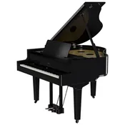Roland GP-9M  Digital Piano Moving Keys | Polished Ebony