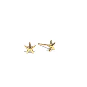 #1257 TINY STARFISH POST