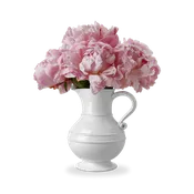 1508 Pitcher