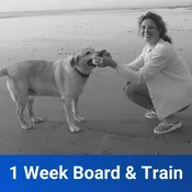 1 Week Manners Mastery Board &amp; Train