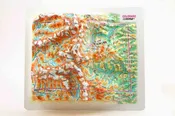 Colorado Raised Relief Map, Souvenir size