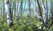 "A Spring Time Memory"