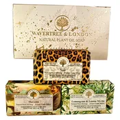 Bath Soap Bars (3 Bars, 7 Oz) in Gift Box - Noir, Lemongrass and Havana Scents