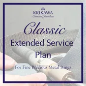 $300 Classic Extended Service Plan