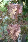 Butterfly Copper Cup Rain Chain