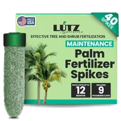 Maintenance Spike