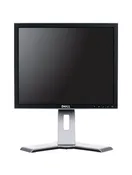 Dell 19" LCD Monitor