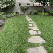 CloverSport | High-Traffic Clover Grass Mix