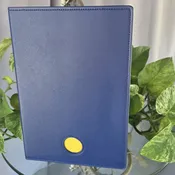 Blue Double AA Big Book Cover | Large Print Big Book & 12 and 12 Cover with Chip Holder