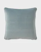 Acworth Velvet 20X20 Pillow