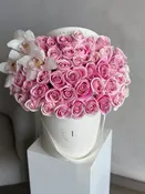 Classic Pink - 50 Roses in a box