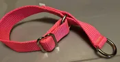 Collar – Alaskan 1″ Pink Small  CLEARANCE