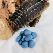 Angelite Tumbled — Ghidrah’s Mind Body Spirit