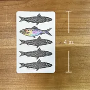 5 Fish STICKER — lynn-oleum