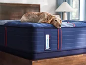 Sealy Posturepedic Elite Albany II Firm Mattress