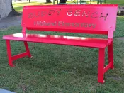 Buddy Bench