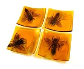 Bee Squares — Home & Garden Just Got Way Cooler.