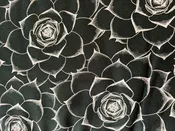100% Rayon The Botonist Roses