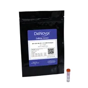 Acridine Orange / Propidium Iodide (AO/PI) Viability Assay