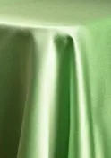 Apple Green — Ashley's Party Rentals