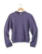 Basic - no imprint sweatshirt.