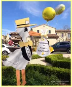 Baby Shower