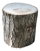Aspen Tree Stump Large 8" to 10" Diameter x 4" to 24" Tall
