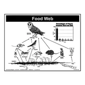 P6: Food Web Poster — Mountain Home Biological