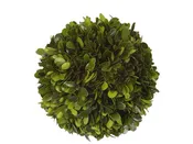 6" Boxwood Ball #1PG3129GR00