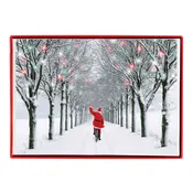 Biking Santa Boxed Holiday Cards 15 Count