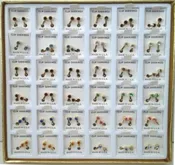 Birthstone Clip Earrings in 3 Dozen Display