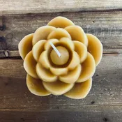Beeswax 1000 Petal Lotus Candle