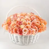 100 Peach Garden Roses Basket