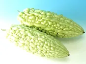 Balsam Pear: ELITE