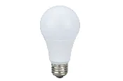 A19