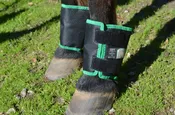Click Fetlock Shield