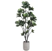 FIDDLE LEAF TREE
